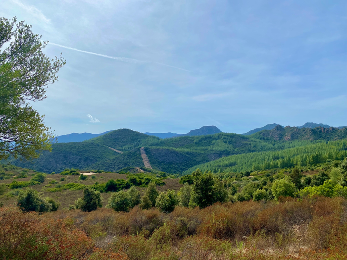 Landschaft bei Santa Maria Navarrese