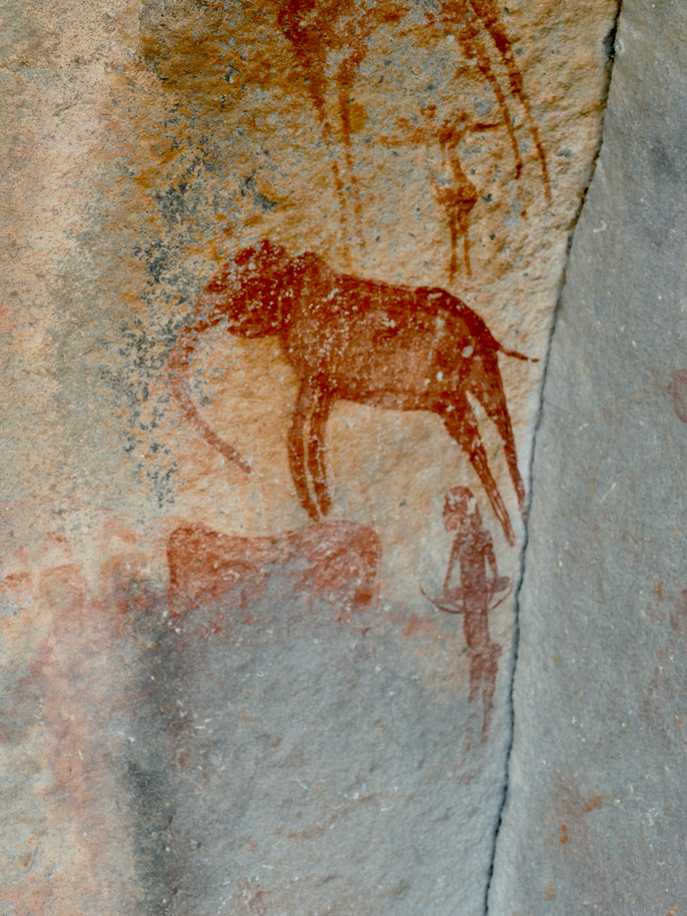 Elefant und Jäger