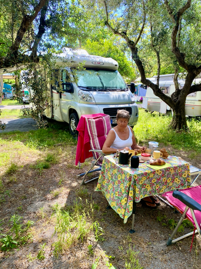 Frühstück im Olivenhain.