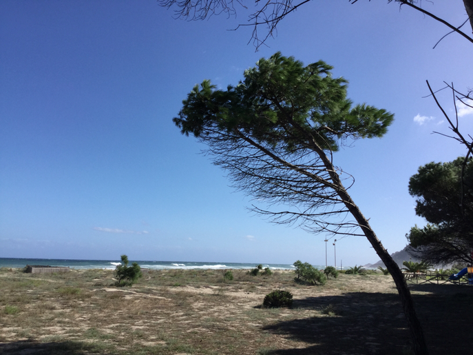 Am Strand von Museddu 