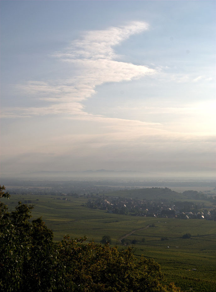 Plaine d'Alsace - 2011