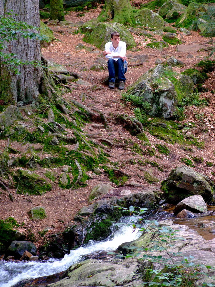 L'atelier aéré en forêt - Vosges 2007