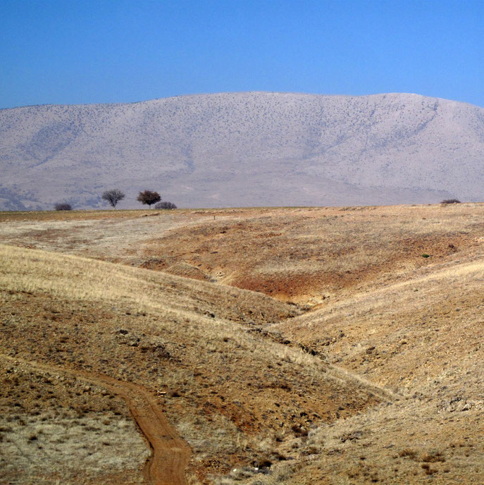 Anatolie - 2009