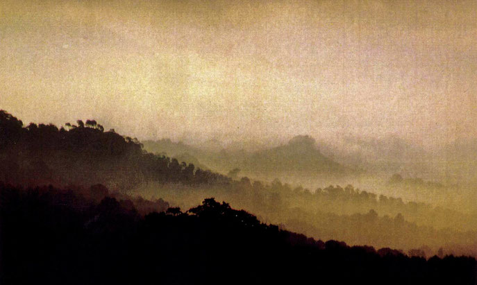 Provence - 1992