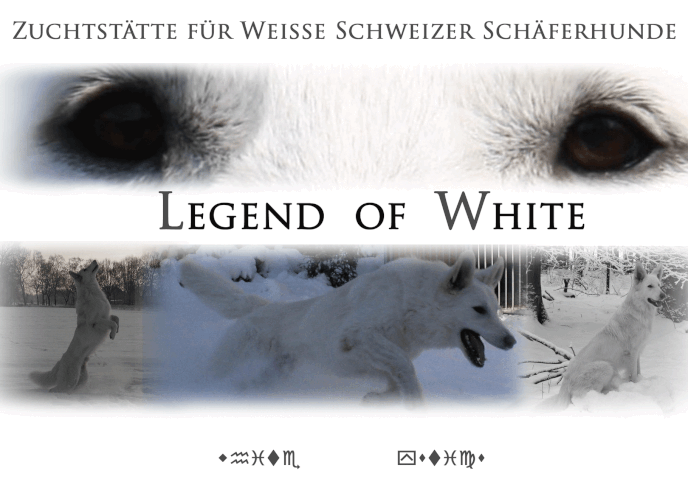 Legend of White Zuchtstätte für Weisse Schweizer Schäferhunde, Welpen aus kontrollierter VDH Zucht