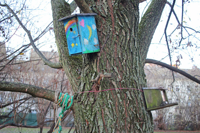 Ein Baum mit selbstgebauten Brutkästen im Außengelände der Kita.