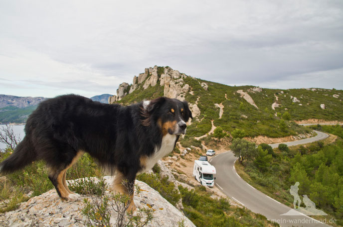 Mit Hund und Wohnmobil nach Südfrankreich: Wie es doch geklappt hat ...
