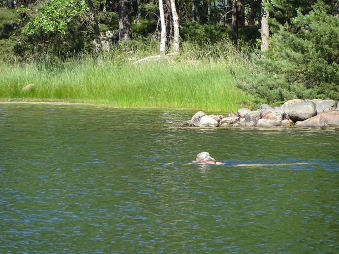 Schwimmausflug in der Schäre vor Hankö