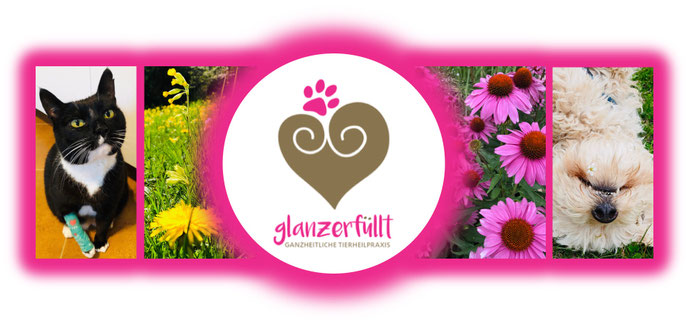 © glanzerfüllt