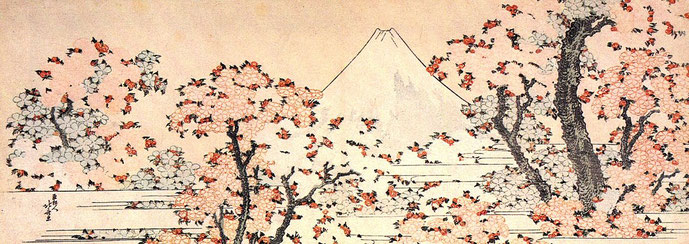 Cherry blossom and Mt. Fuji Source: wikipedia