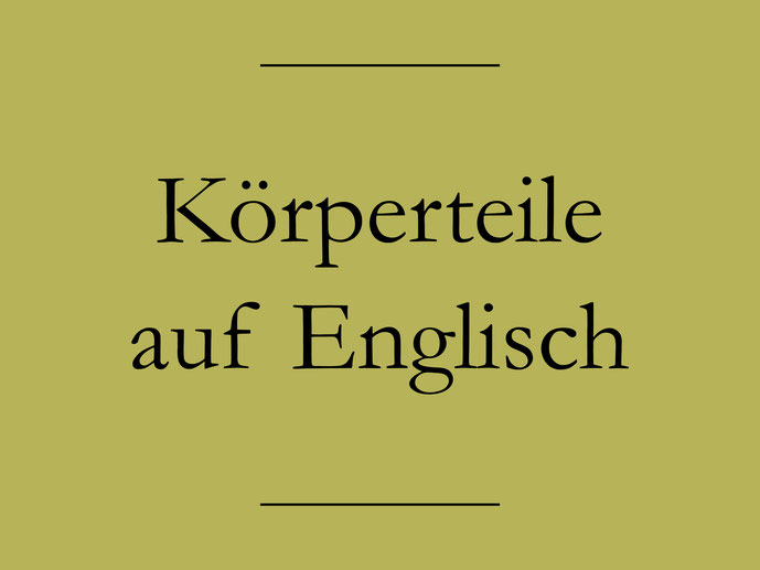 Englisch lernen: Körperteile. Hals, Bauch, Zunge, Oberschenkel. #englischlernen