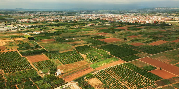 La Huerta de Alicante es una zona histórica y agrícola situada en los alrededores de la ciudad de Alicante, en la Comunidad Valenc es una zona histórica y agrícola situada en los alrededores de la ciudad de Alicante, en la Comunidad Valenciana, España.