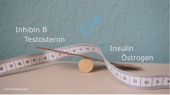 Mann Hormone Androgene Testosteron Abnehmen Körperfett Insulin