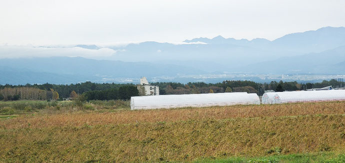 長野県伊那市 中古コンテナ20ftフルシャッター付シルバー塗装設置
