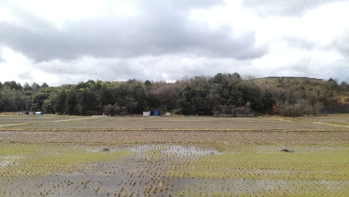 加茂郡富加町 NEWVANコンテナ20ft設置