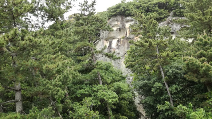 石川県白山市 中古コンテナ20ftシルバー塗装改納品