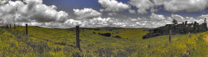 Aussicht auf die immer gruenen Tablelands