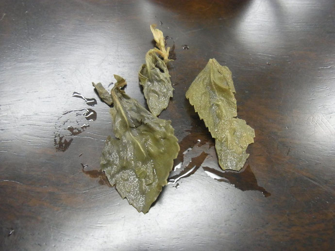 薄荷叶