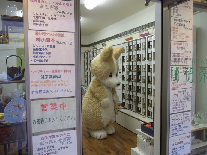 こーた