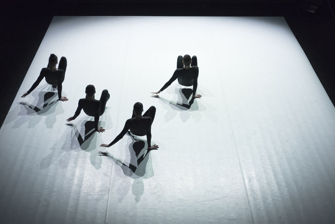 VIS MOTRIX (2018)