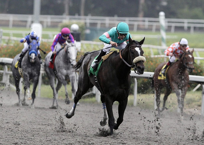 Zenyatta - wmcdoukoukaiのJimdoページ