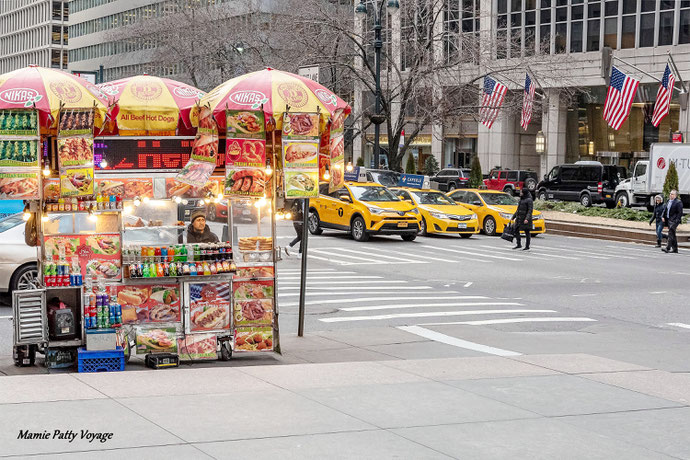 Vendeur de hot dogs, Central Park, New York