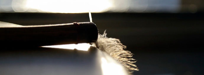 Foto: Mechthild  Stein