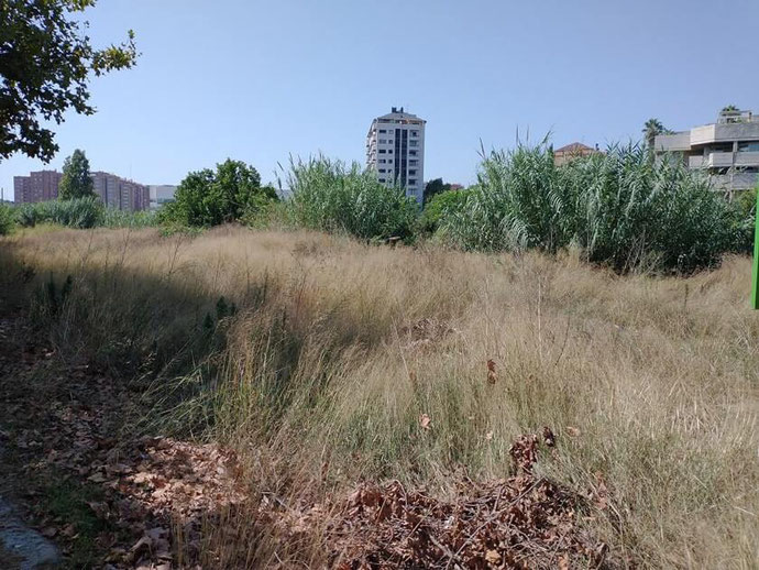 Me gusta dar largos paseos por el barrio de Benimaclet y alrededores, y es una desagradable sorpresa de comprobar personalmente la suciedad que está por todos los sitios.