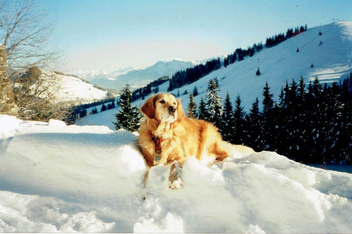 Lena im Schnee