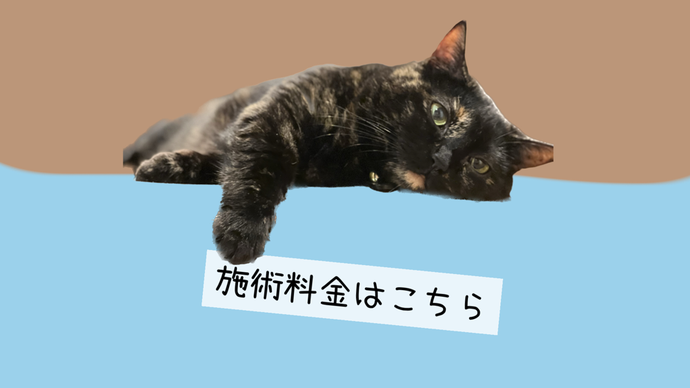 相模原市南区古淵は町田の隣です。整形外科や整骨院で治らなかった腰痛や股関節痛、ひざ痛、肩こりによる頭痛などは塚原バランス整体院にお任せください！