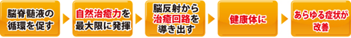 ソティルセラピーの理論と身体の反応の流れ