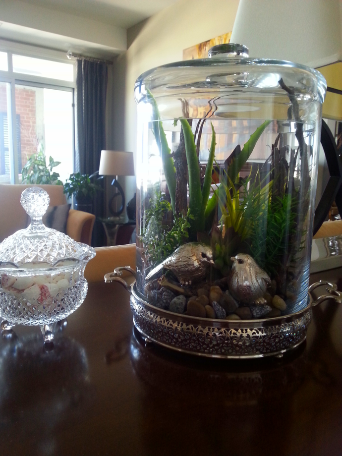 The vignette is made more interesting by incorporating an antique silver tray under the terrarium and a crystal candy dish. Look in your cupboards, flea markets etc...you never know what you will find!