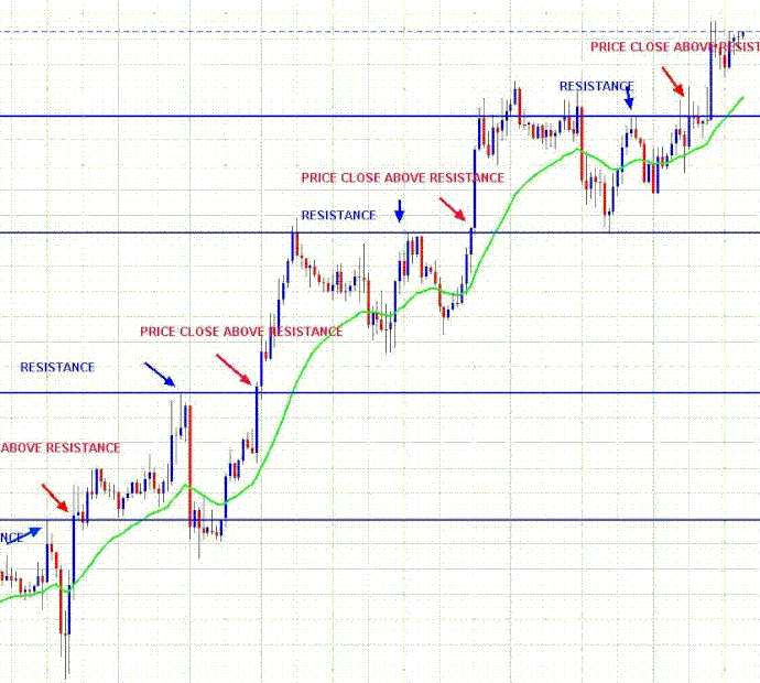 forex fibonacci lines