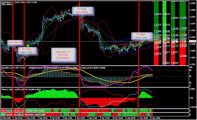 dd forex