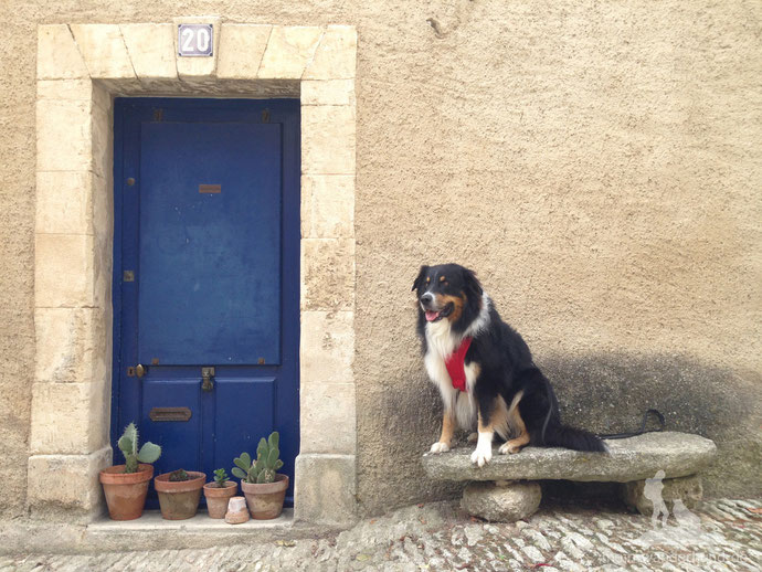 Fotoshooting beim Spaziergang in Bonnieux.