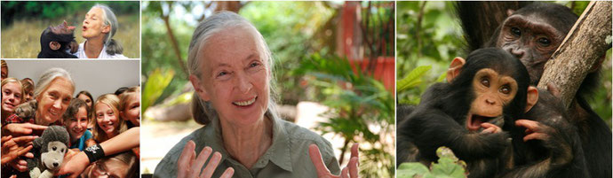 © Fotos: Jane Goodall Institut - Deutschland => Click! on Foto and join...