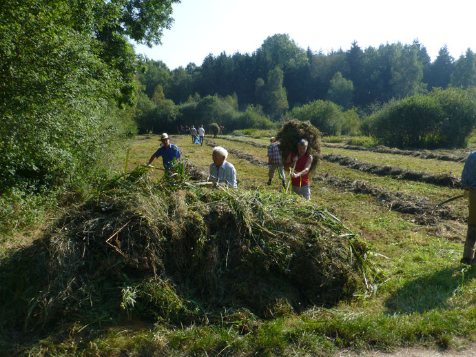 Ohne sie ginge es nicht: Ehrenamtliche investieren jedes Jahr unzählige Stunden in die Pflege der Flächen und die Betreuung unserer Heckrinder-Herde. Foto: S. Rudolph