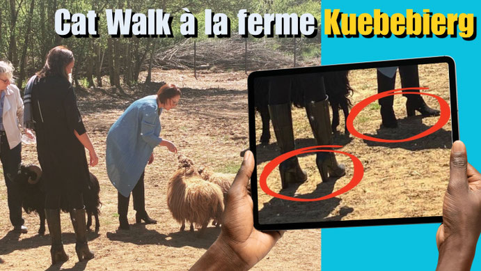 Photomontage : la ministre des Transports Yuriko Backes à la ferme urbaine du Kuebebierg, avec des cercles rouges soulignant ses talons hauts.