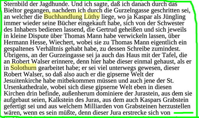 Gerhard Meier Zitat Text zu Buchhandlung Lüthy Solothurn heute Bücher Lüthy Buchhaus.de – Gedenktafel Robert Walser Gurzelngasse, Jesuitenkirche, St.Ursenkathedrale – Amrainer Tetralogie Suhrkamp. Archiv Pedro Meier Lyriker, Maler, Niederbipp. ProLitteris