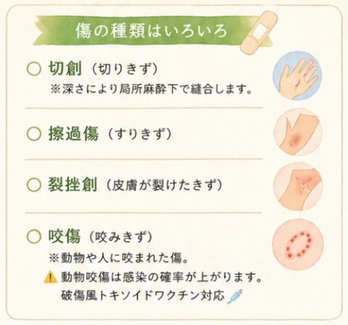 切り傷、擦り傷　裂傷　犬　猫　かまれた　