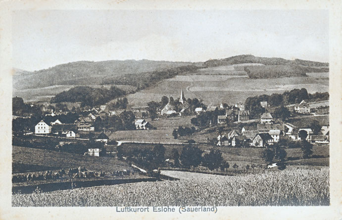 Postkarte um 1910 (Verlag Ferdinand Schulte, Eslohe): Blick vom Wennerstieg auf den Schulort Eslohe, im Vordergrund ist Niedereslohe zu sehen.