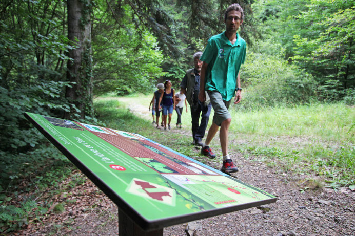 Sentier d'Interprétation du Camperié - Axat - Rando Pyrénées Audoises