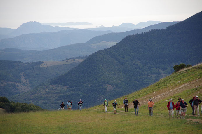 Sentier de la Forêt d'En Malo - vue sur Axat et les Gorges de la Pierre Lys - Rando Pyrénées Audoises