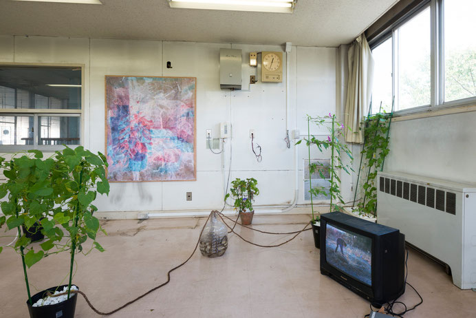 "Human/Vegetable "installation view, 2015