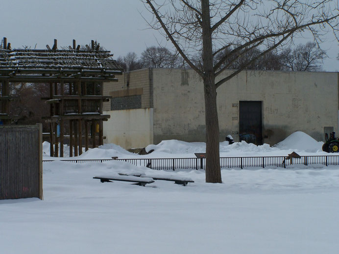 Buttonwood Park Zoo elephant exhibit, March 3, 2015. Picnic table tops in foreground.