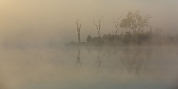 mists of avalon Maria Magdalena