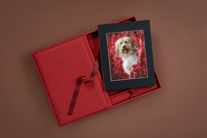 Fotobox mit Deinen Lieblingsbildern