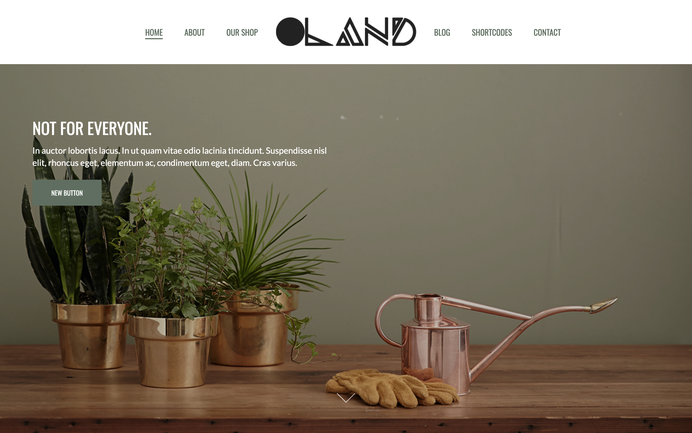 Oland theme bg-primary-light add-5