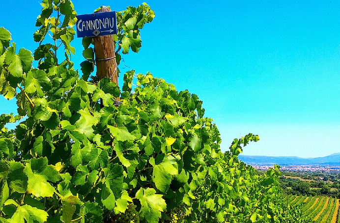 E Bike And Wine Tour Sardeo Your Outdoor Experience In Sardinia