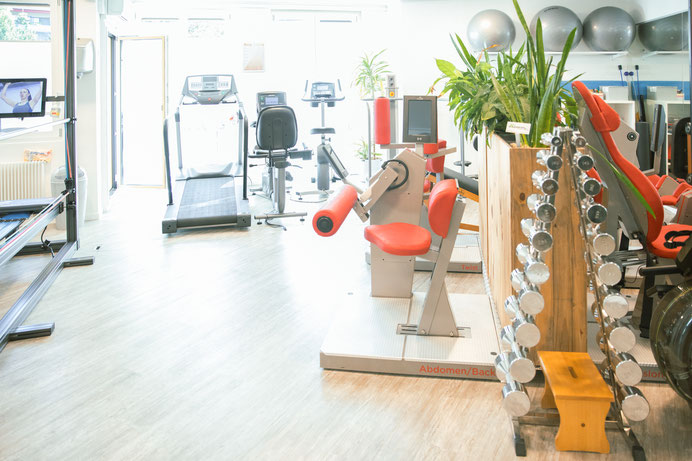 webseite Wellsana Basel